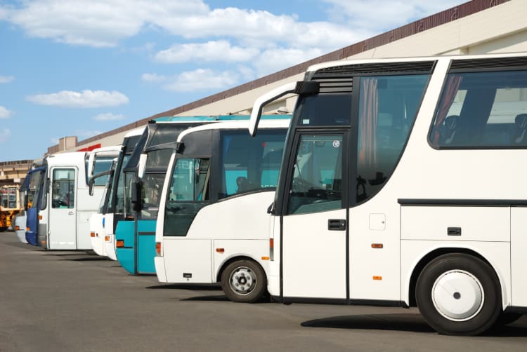 a lineup of charter buses parked in a lot